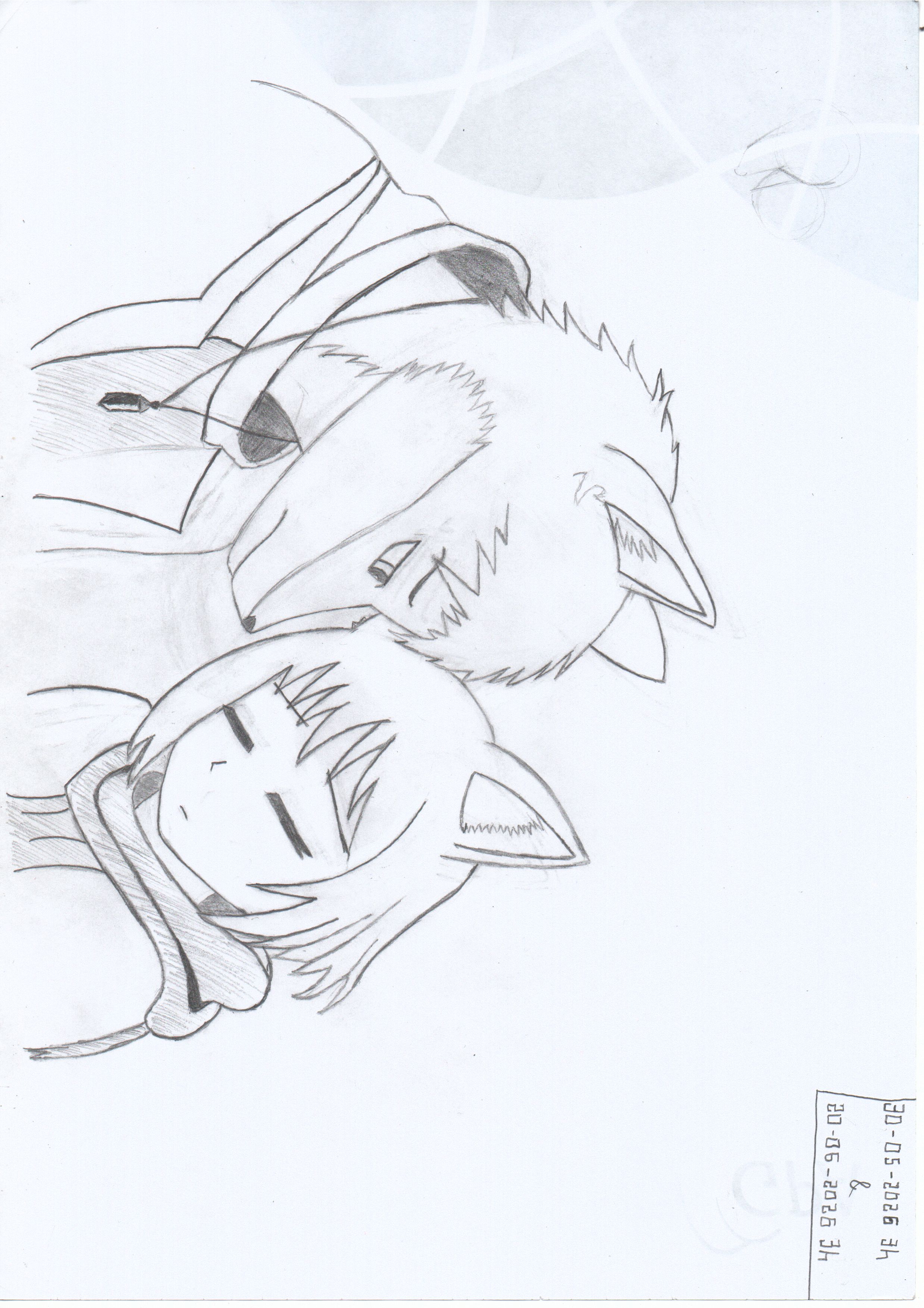 Drawings/28Desenho.jpg